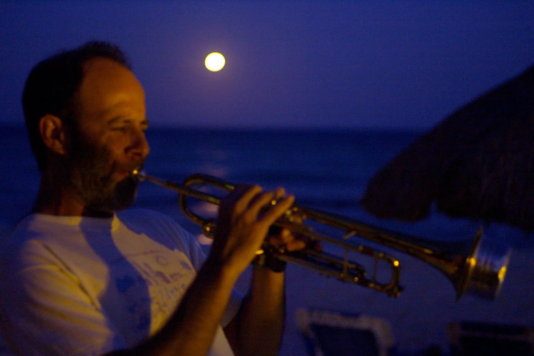 Steve Schneck Quartet